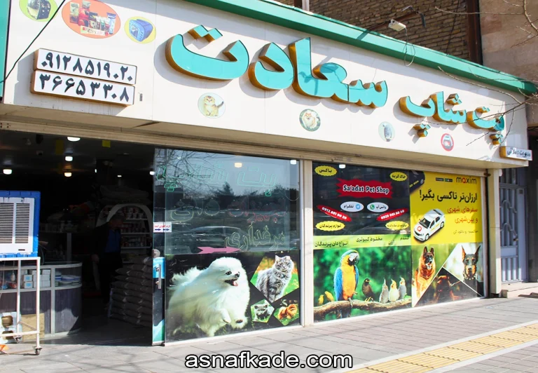 پت شاپ سعادت | پت شاپ | لوازم حیوانات خانگی | لوازم پرندگان زینتی | پخش غذای سگ | غذای گربه | غذای مینا | غذای خرگوش | یونجه خرگوش | پوشال پرندگان | پوشال خرگوش | تشویقی سگ | تشویقی گربه | تشویقی خرگوش | تشویقی پرنده | آبخوری خرگوش | آبخوری پرنده | آبخوری سگ | ظرف غذای سگ | باکس سگ | باکس گربه | باکس خرگوش | قفس پرنده | غذای دام | غذای طیور | مکمل سگ | مکمل گربه | ویتامین سگ | شیر خشک شگ | ویتامین گربه | خاک گربه | مکمل دام | مکمل طیور | غذای حیوانات تزئینی | غذای آبزیان | لوازم جانبی |  مشهد